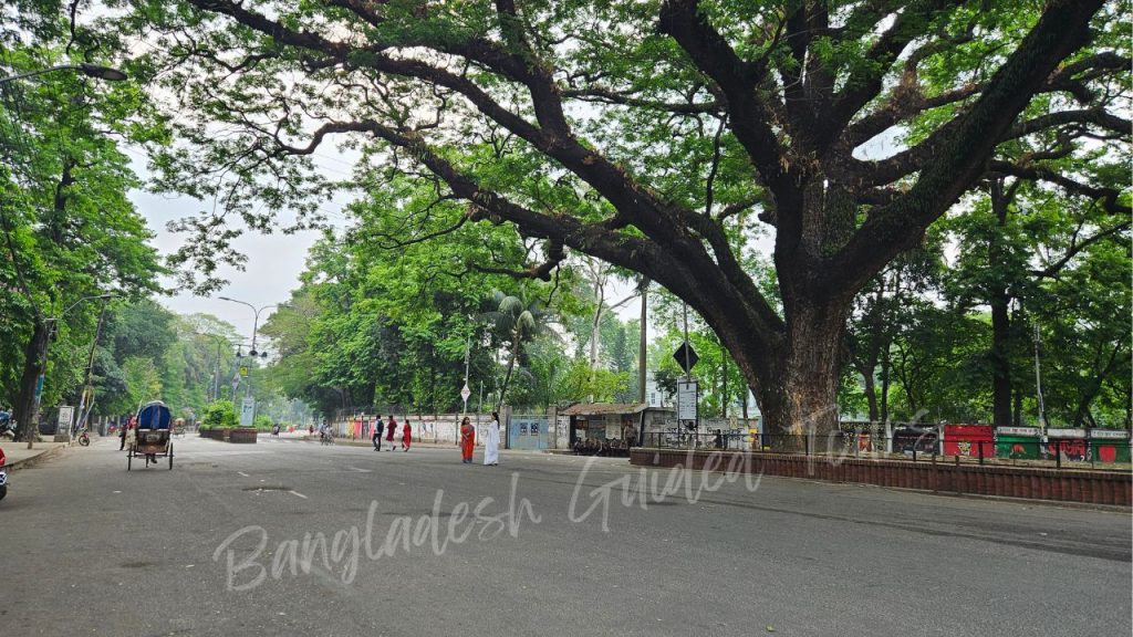 Beautiful festive environment at Dhaka University during Pohela Boishakh with art, music, and celebration