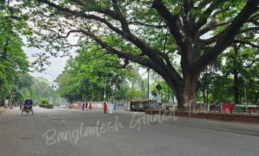 Beautiful festive environment at Dhaka University during Pohela Boishakh with art, music, and celebration