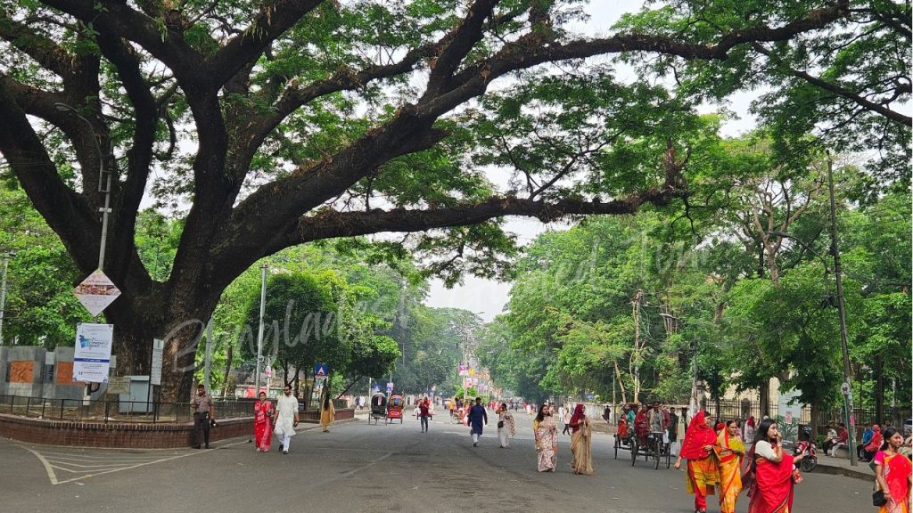 Students and visitors walking through Dhaka University campus during Bengali New Year festival Pohela Boishakh