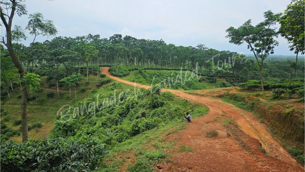 Lal Pahar in Sreemangal, Bangladesh, featuring distinctive red soil, green hills, and breathtaking natural scenery.