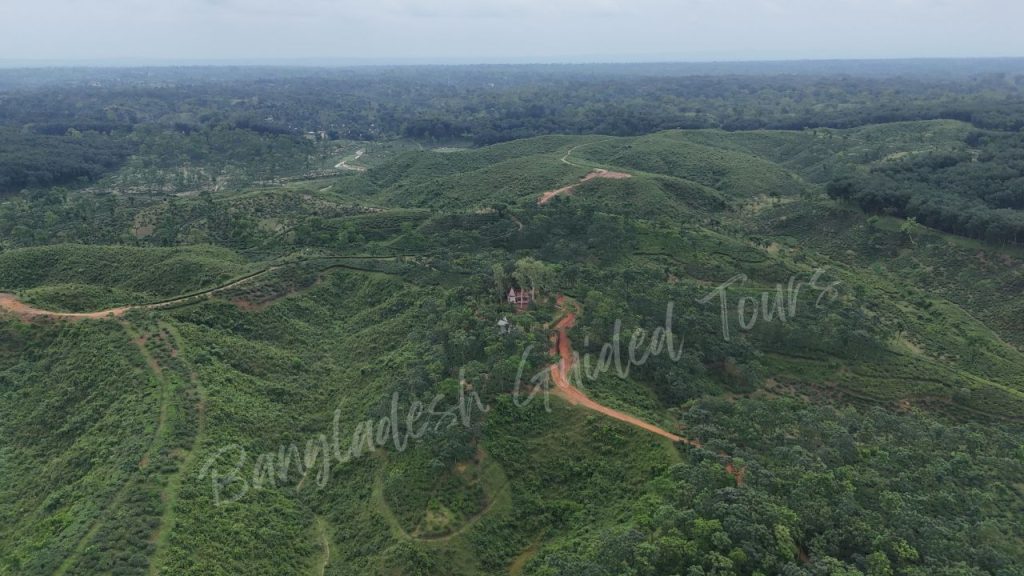 Lal Pahar in Sreemangal, Bangladesh, featuring its distinctive red soil, lush green surroundings, and scenic natural landscape.